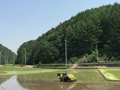 성길욘두성길/욘두퀼욘두로 삼시세끼썰 04