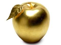 [메인] 과수원 입구