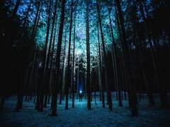 [맥레예] 몽중몽.