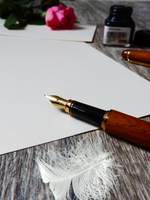 고양이 그리고 집사.