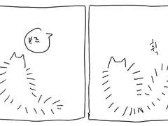 환생한 본즈는 거대 고양이 노르웨이숲