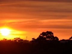 [바람과 함께 사라지다] 사랑은 1