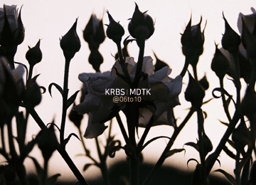 녹고 / 정원으로의 초대