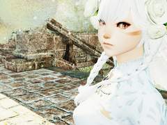 파이널판타지14 - 청하