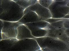 [カスサン] Nebra Sky Disk Omnibus #2