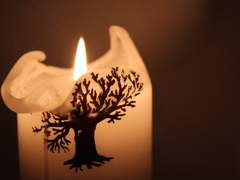 [본즈커크]촛불 아래