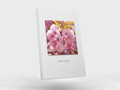 affection. 샘플페이지