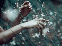 The West Wind Quartet - Himring