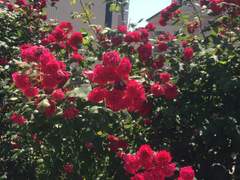 2017. 6월 조각모음