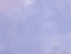 [팔계오정/최유기-Burial-] 사랑을 갈구하면 안되는 겁니까?