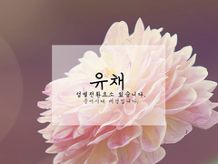 [토도이즈/토도데쿠] 유채