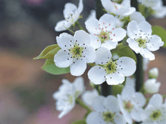 그래서 나의 대답은,