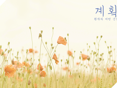 [토도이즈/토도데쿠]계획