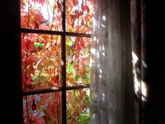 [창준시목] 레몬과 오렌지의 이불