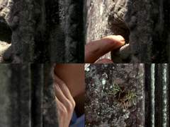 [재호현수] 화양연화