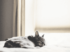 [녤옹] 처핑 파핑 -1