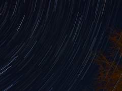 03. 두 요정 이야기