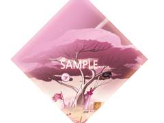 스티븐 유니버스 온리전 / [미 10] 크리스탈 브레이브 INFOR