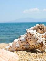 Material Science (재료과학)