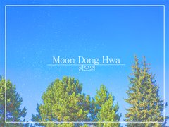 [파린스] 정오의