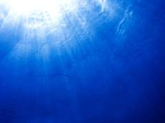 낭만적 추락 (1)