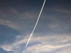 [메가트론 x 옵티머스 ] Happy Blues