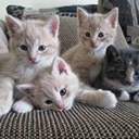 꿈속에서 만난 그대