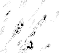 [디오죠나]환상정원+게스트 앤솔 일러