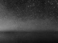 [판섢] 에덴의 밤