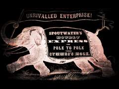 [COC TRPG 시나리오]공중그네 타기의 엘리