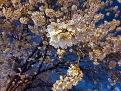 [창준시목] 금요일 밤의 놀이