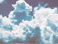 [영견] 날이 좋아