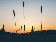 desert highway - happy birthday