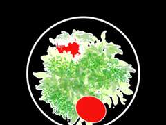 최고의 만찬 9.샐러드