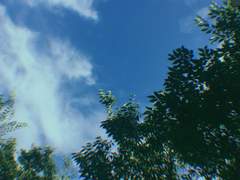 지난 여름에 대한 반성문