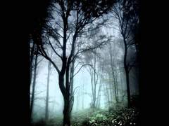 In the Shadow of the Forest, and other drabbles by Himring (추가 중)