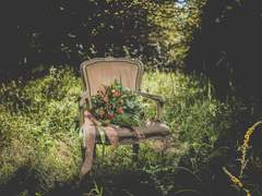 사랑에 흩날린 꽃잎은