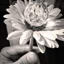 달갈인가, 계란인가.