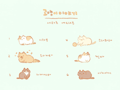 고양이가 된 세터즈