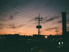 Alive 재고, 파본 판매 - 종료