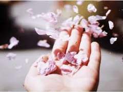 손끝에 닿는 한줌의 바람