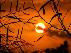 [빅토카츠] Secret Service