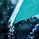 날계란밥의 고수🥚