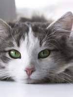 [YJ]천국으로부터