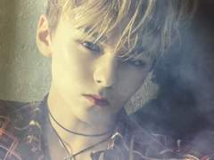 [세븐틴팬픽/뱀파이어물/순부] Bound of blood #04