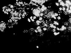 [하늘연달] Naimal_2