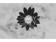 [마마관] From S to N