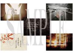 캘리 엽서 샘플용