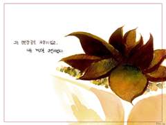 그는 선인장같은 사람이었고, 나는 게으른 주인이었다.