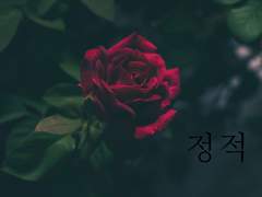 [토도이즈] 정적